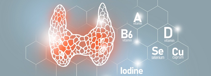 Optimale Schilddrüsentherapie für mehr Energie